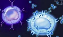 在“代码化”之风中保持思维独立