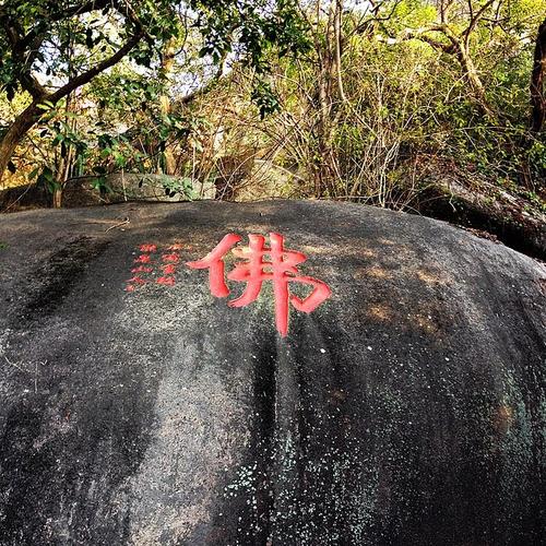 早上旅行