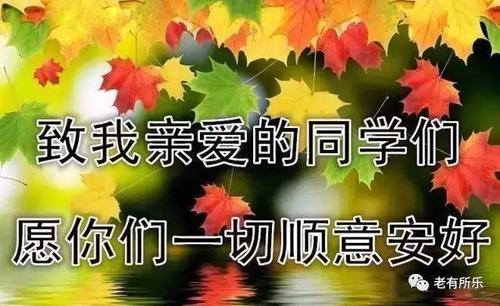 我的老同学