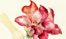 文明出行，手留余香