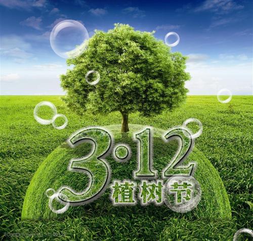 树种植园冒险