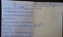 家里来了客人作文