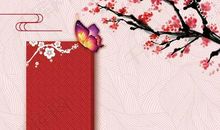 梅花节，学摄影