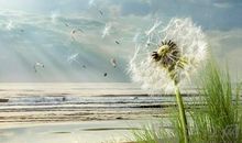 青春路上，诗词温暖我