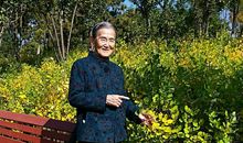 蓦然抬首眺望一世天晴