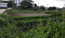 不曾忘却的温情