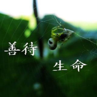 生活是珍贵和珍惜的
