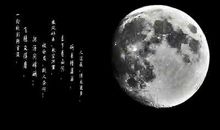 月亮带来的爱