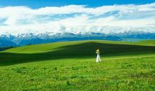 爱牵动我的情思