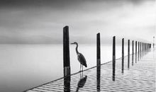 请不要打扰别人的幸福