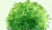 把坚强种在心里