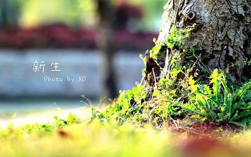 普通也可以很棒