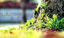 平凡也可以伟大