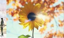 甜甜的难忘的回忆