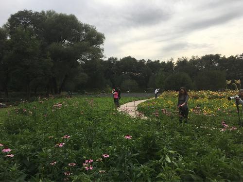 面对追逐文明