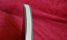 一片幽情书中浓