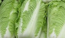 会魔法的大白菜