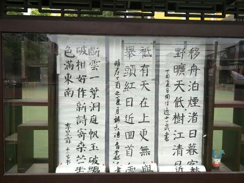 国家Quall与我一起成长