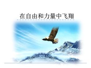飞行力量