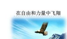 飞翔的力量