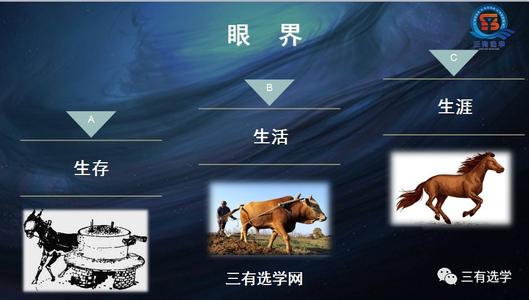 拓宽视野
