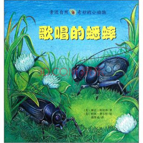 神奇的小动物