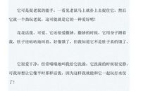 可爱的小猫作文200字