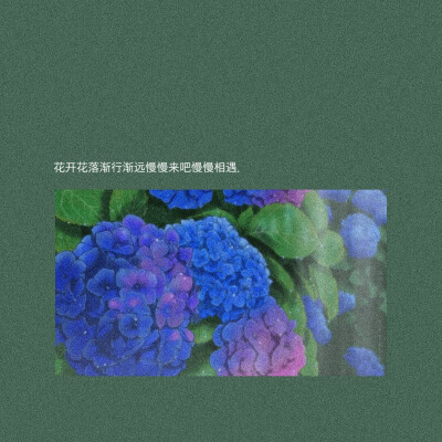 不变的承诺