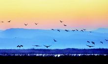 那一刻万物自由