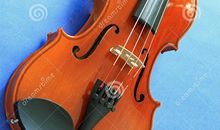 和中提琴在一起