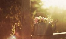 易逝的时光留下这短促的回忆