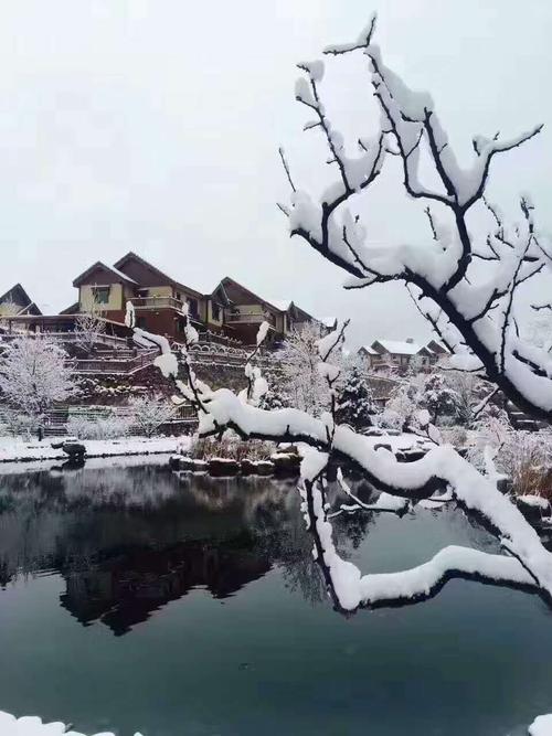 杨春雪