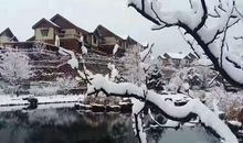 阳春白雪