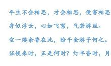 怀念拨动音弦的日子