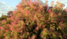 快乐源于生活的一点一滴