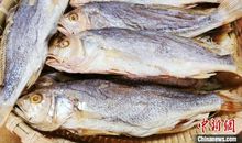 我的青春有梅香