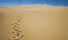 善心何故畏风尘