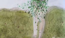 慢慢走，欣赏啊