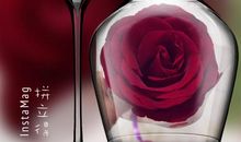 共享——是汩汩细流还是浊浊淤泥？