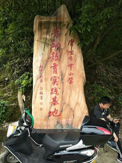 令人难忘的春天之旅