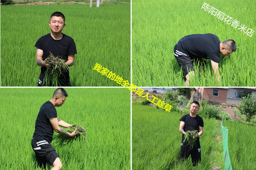 我的家人在我的生命中。