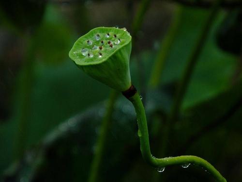雨思维