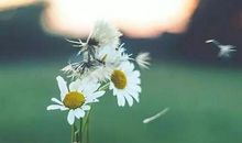 为何不快乐的活