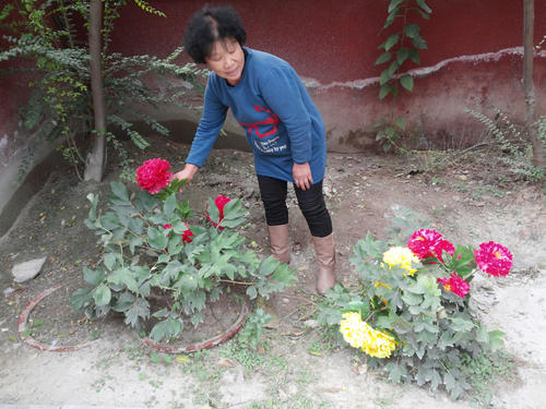 更美丽