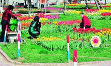 在文明的路上流连忘返