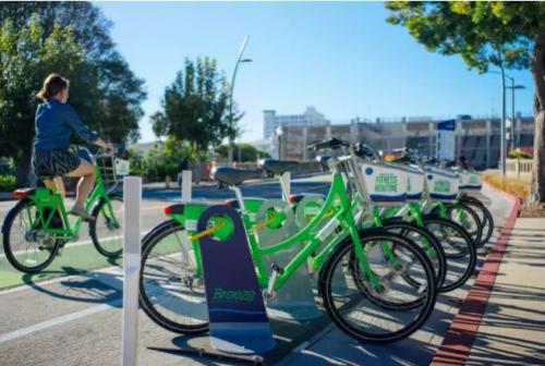 我们的“分享”自行车