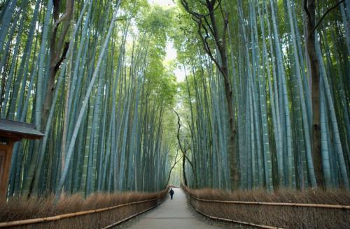 触摸了美丽的风景