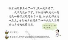 蚂蚁的救助读后感