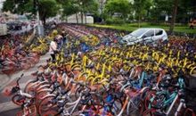 我们的共享单车