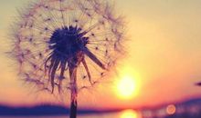 回忆过去的事情